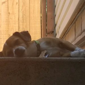 Meet your Posher, Linda